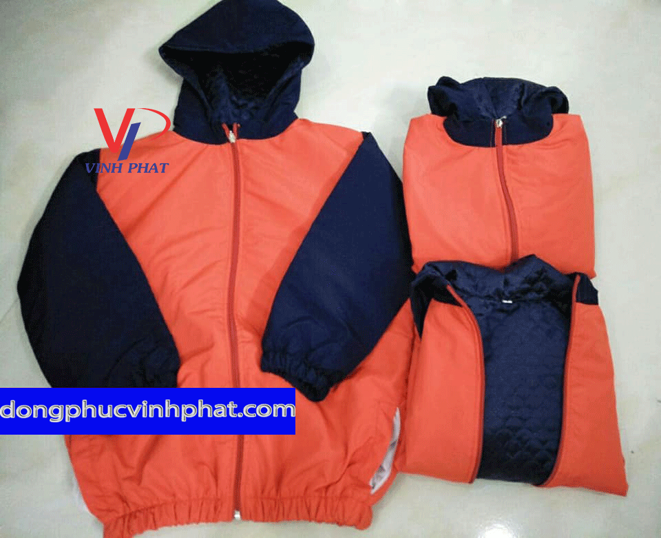 41656761_2663785346972356_523705136430710784_n