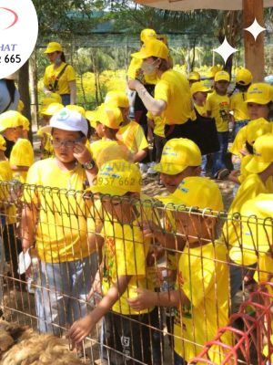 ao_thun_dong_phuc_da_ngoai_pm_4