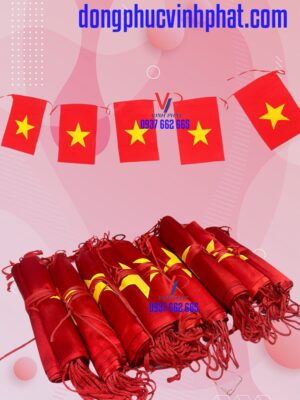 co_day_to_quoc_6