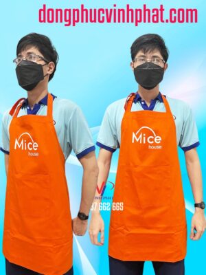 tap_de_mice_house (1)